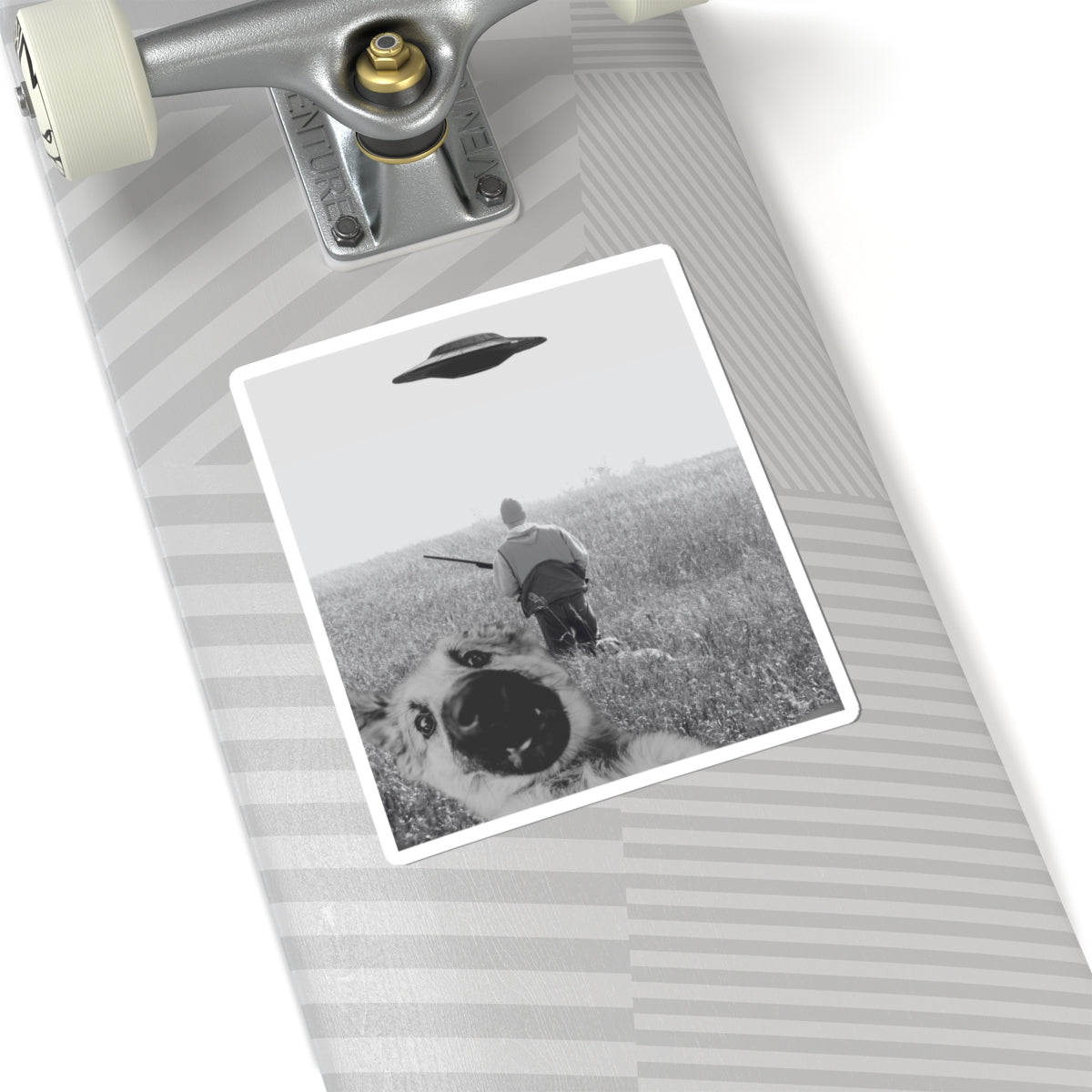 "Flush out"- Sticker